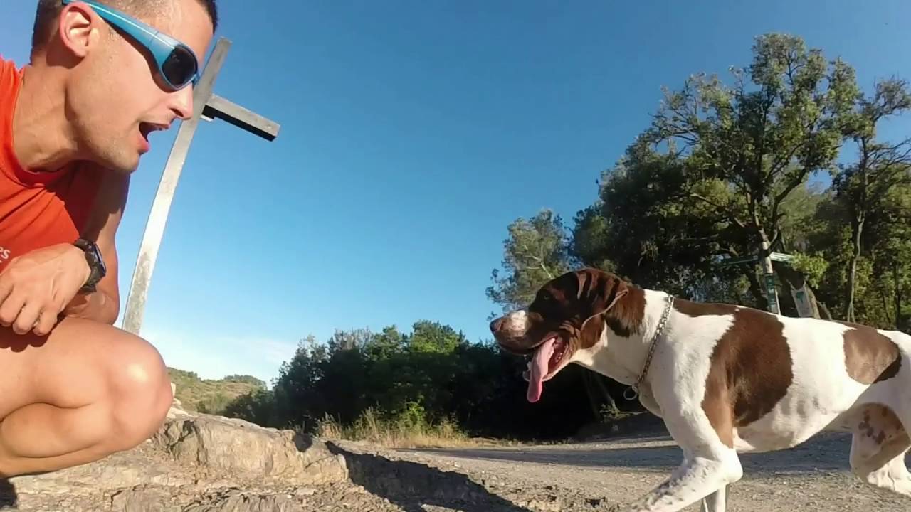 TRAIL DOG Happy Gopro
