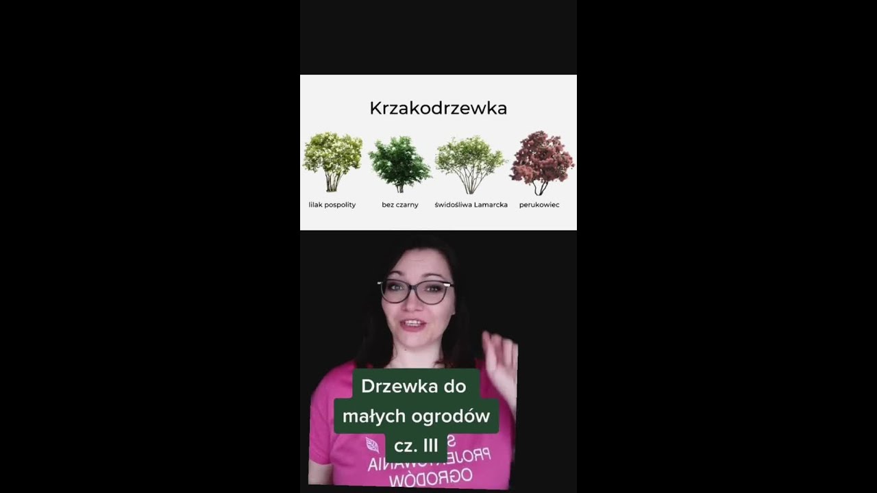Niskie drzewka wielopniowe, do małych ogrod&oacute;w