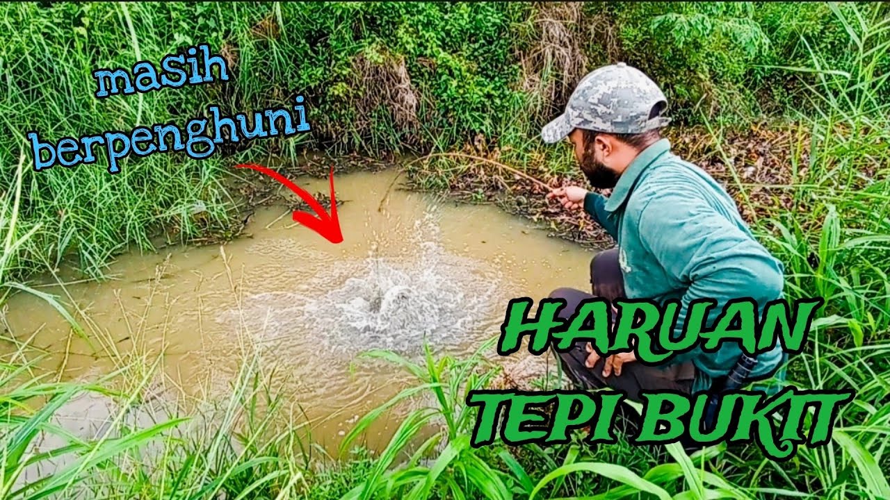 #EP1149 Setelah Setahun Aku Kembali Kesini