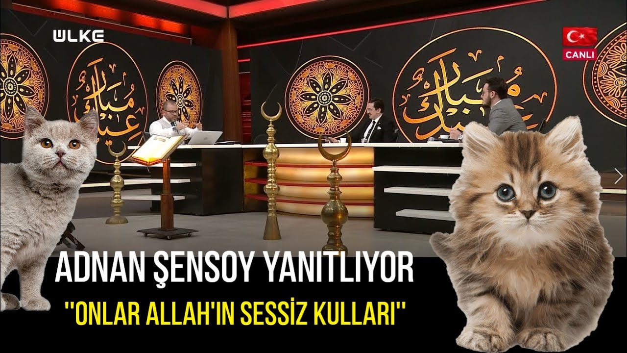 Hayvanları kısırlaştırmak caiz midir? I 5. GÜN