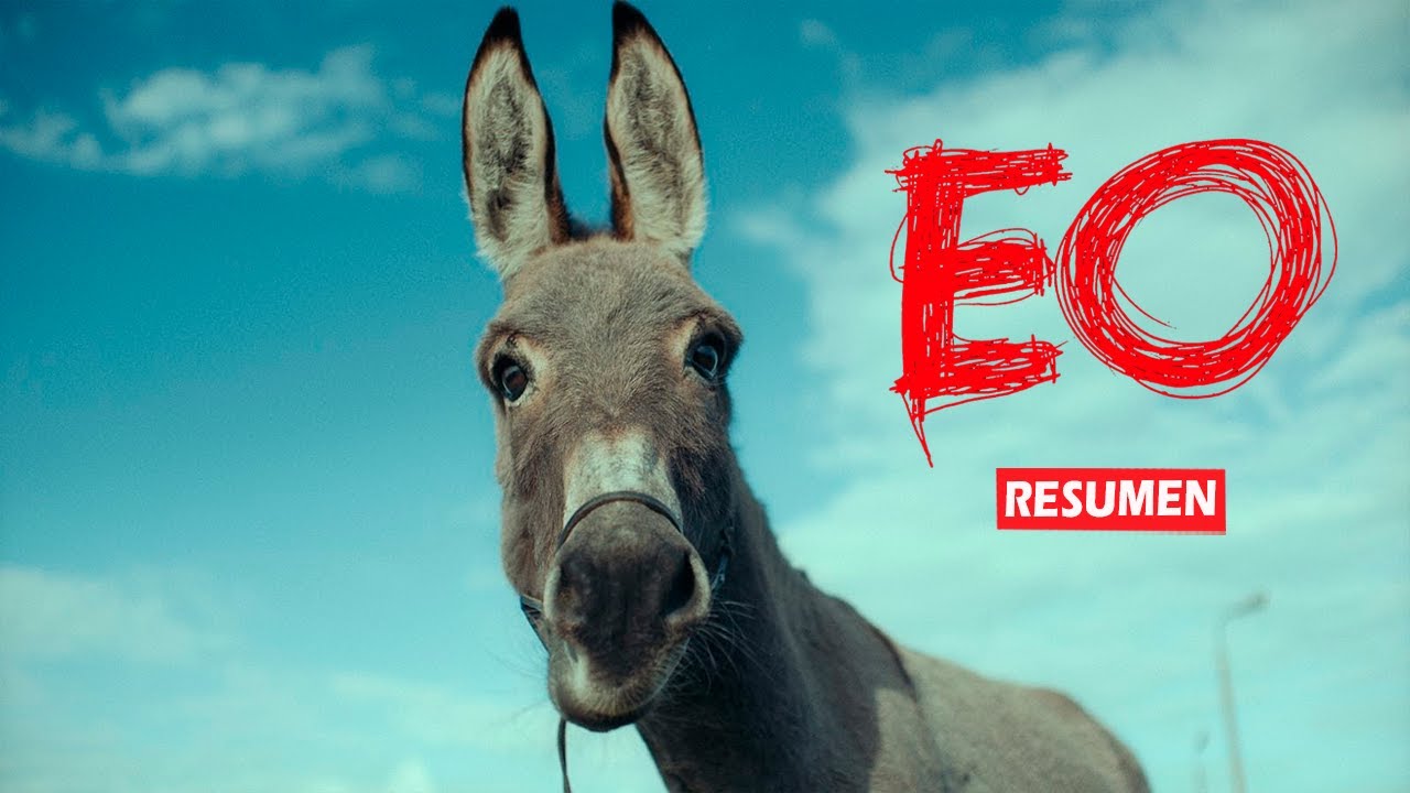 EO En 8 Minutos