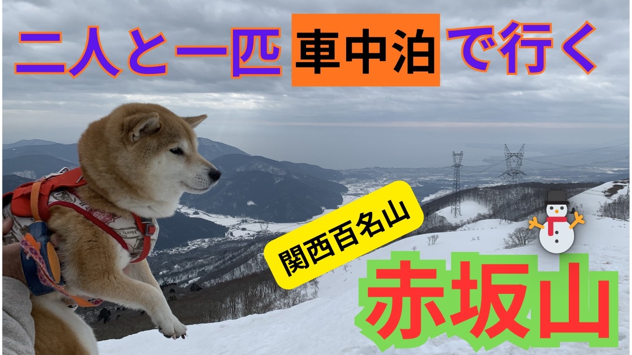 【関西百名山】車中泊で行く！【雪の赤坂山】柴犬ミカンと登山