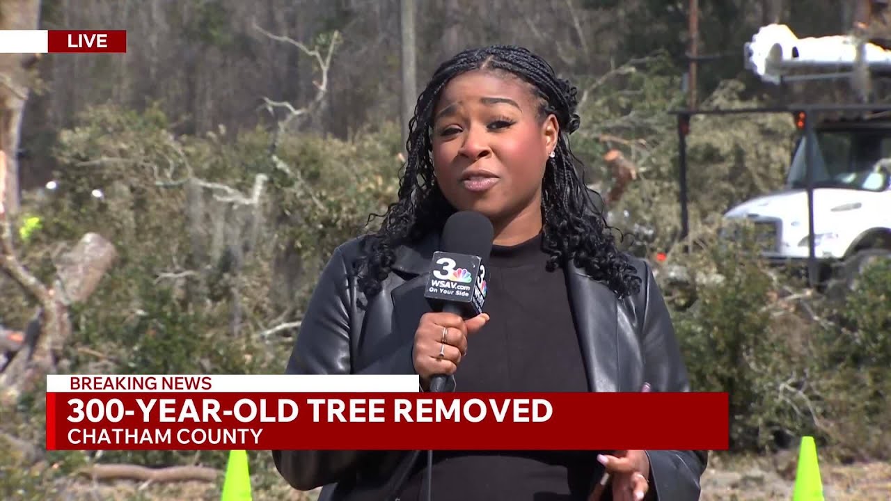 WSAV News 3 Today at 11
