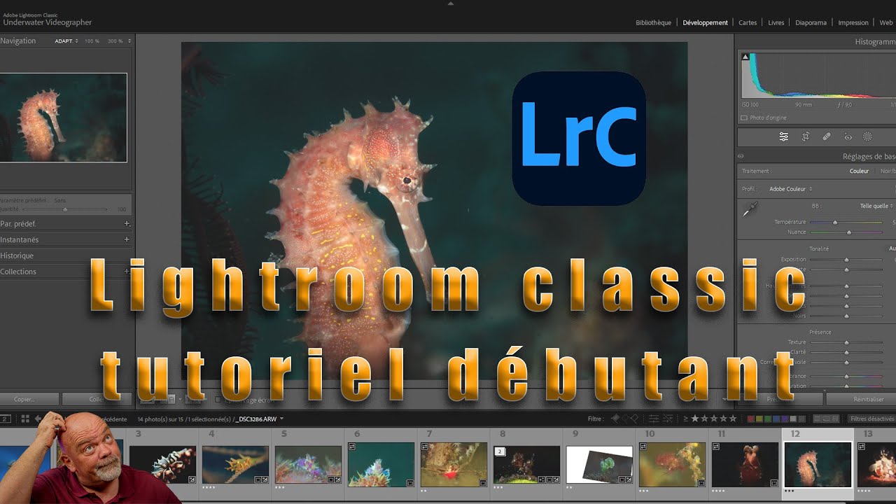 Lightroom classic 2023, tutoriel pour débutant