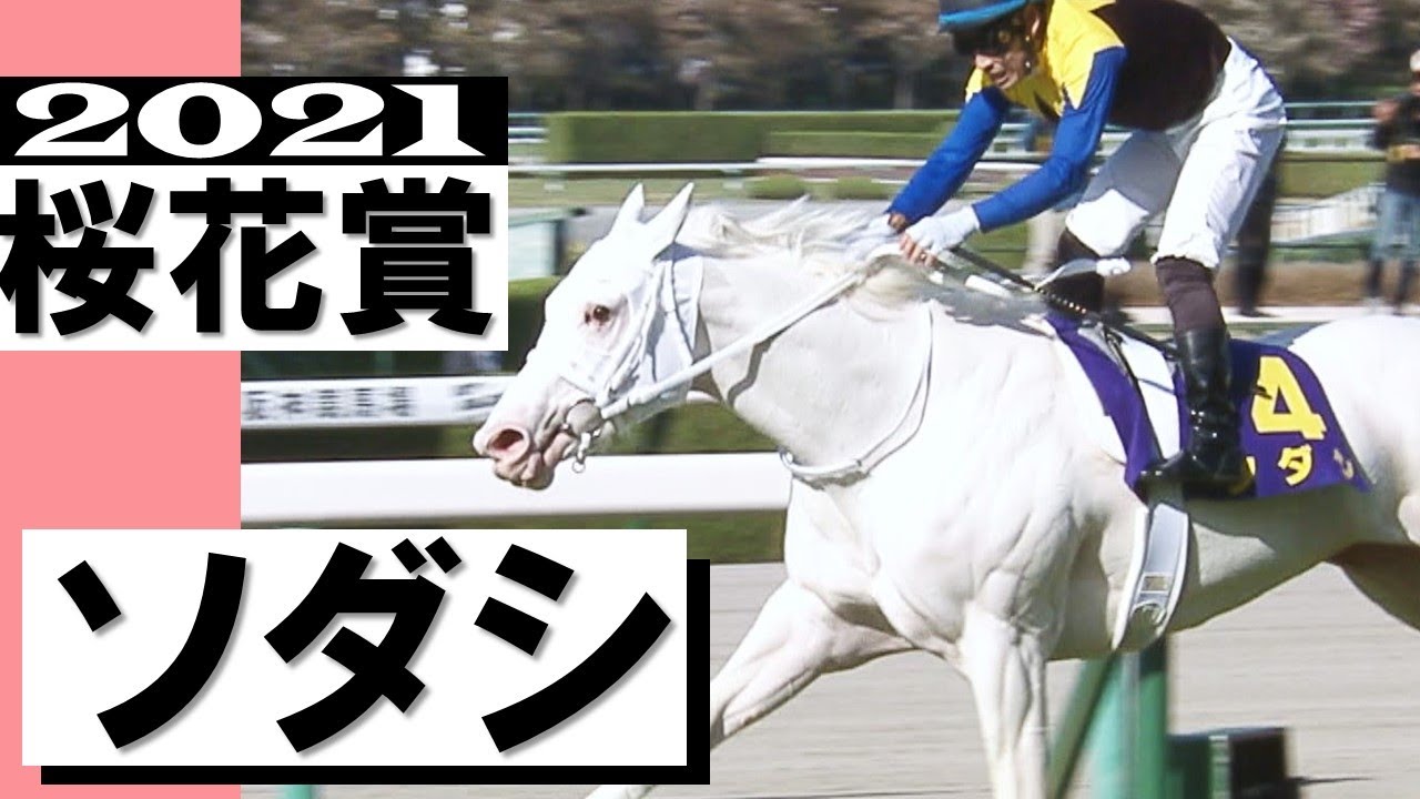 「白い桜が咲き誇りました！」史上初！白毛馬ソダシがクラシック制覇  White Japanese Filly Sodashi Wins Oka Sho【桜花賞2021】