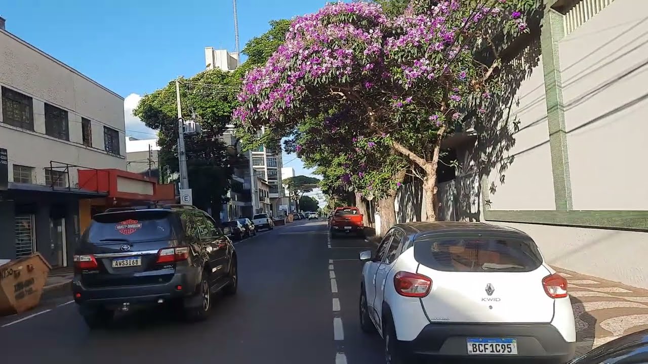 HISTÓRIA DE ROLÂNDIA DATA ANIVERSÁRIO 