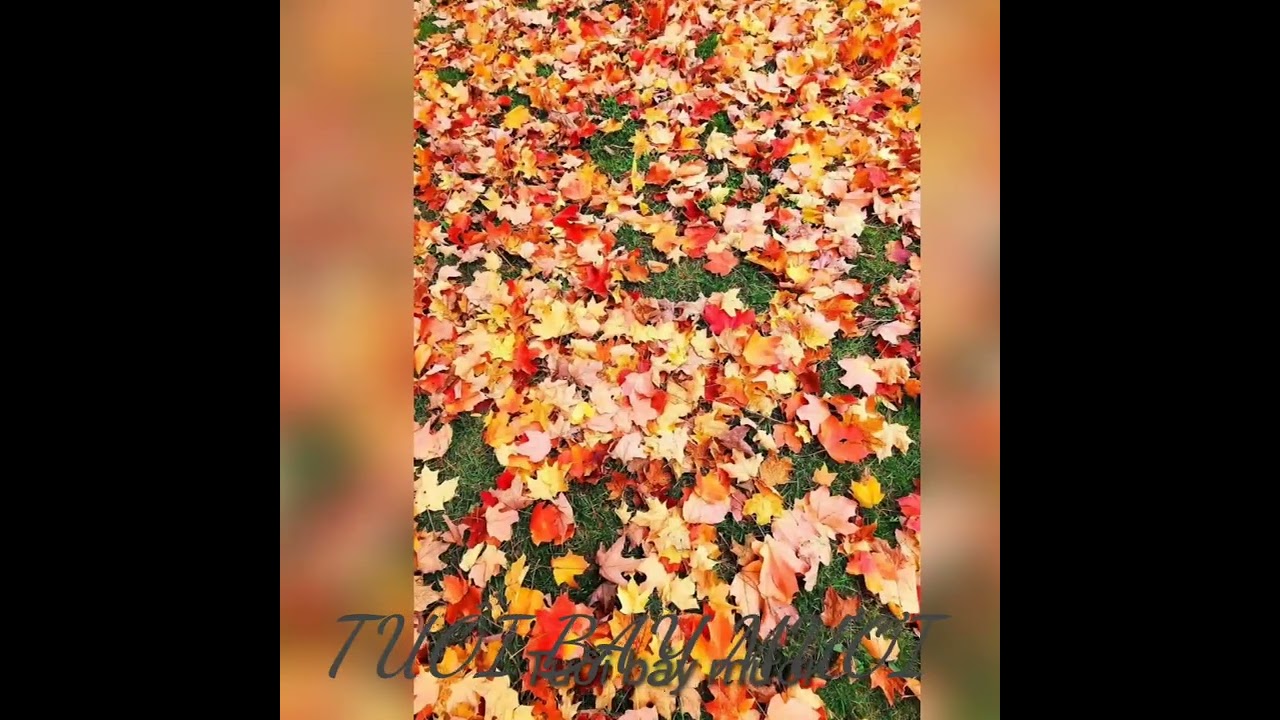 TUỔI BẢY MƯƠI - Á