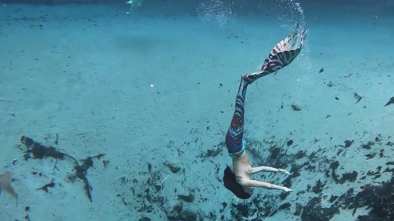 Mermaid Swimming in the Springs