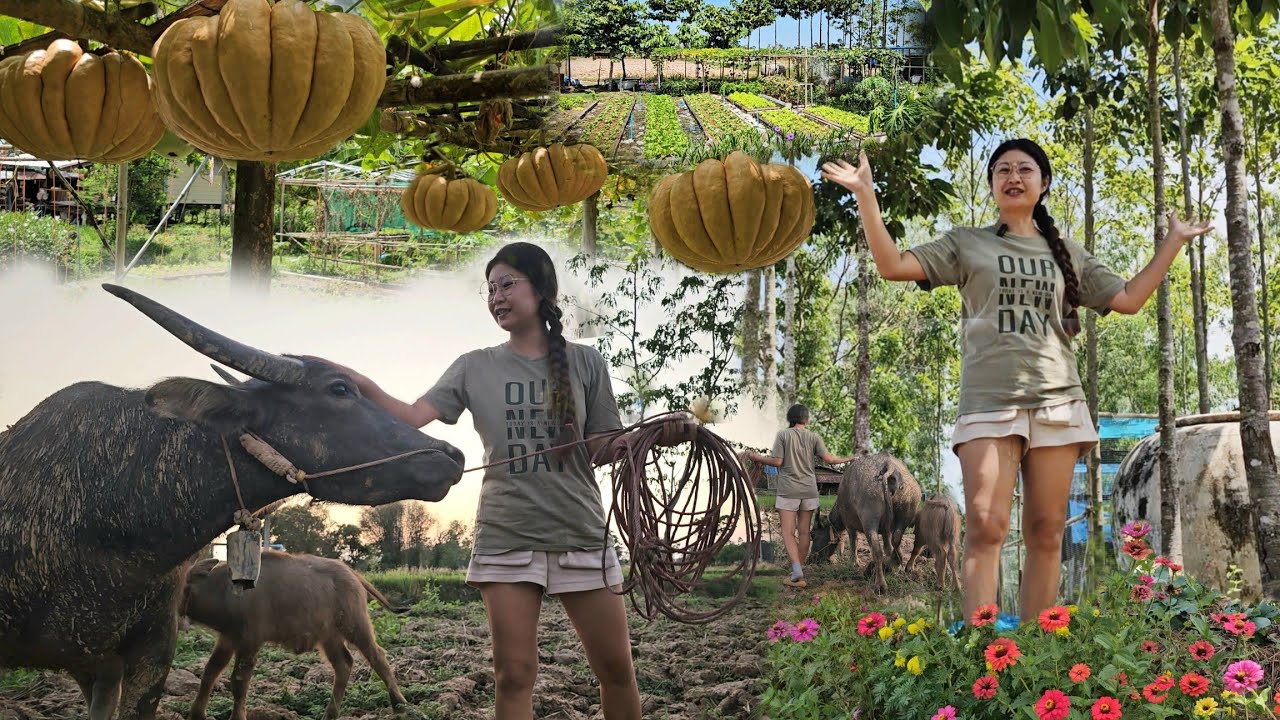  Ep.158 ทำสวนเกษตรผสมผสานร่วมกับวนเกษตร ใช้หลักธรรมชาติเกื้อกูลกัน
