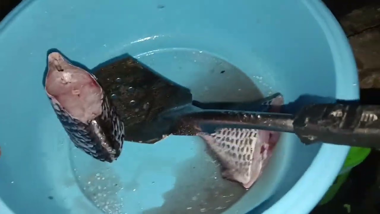 Ito muna ulam natin ngaung hapunan.