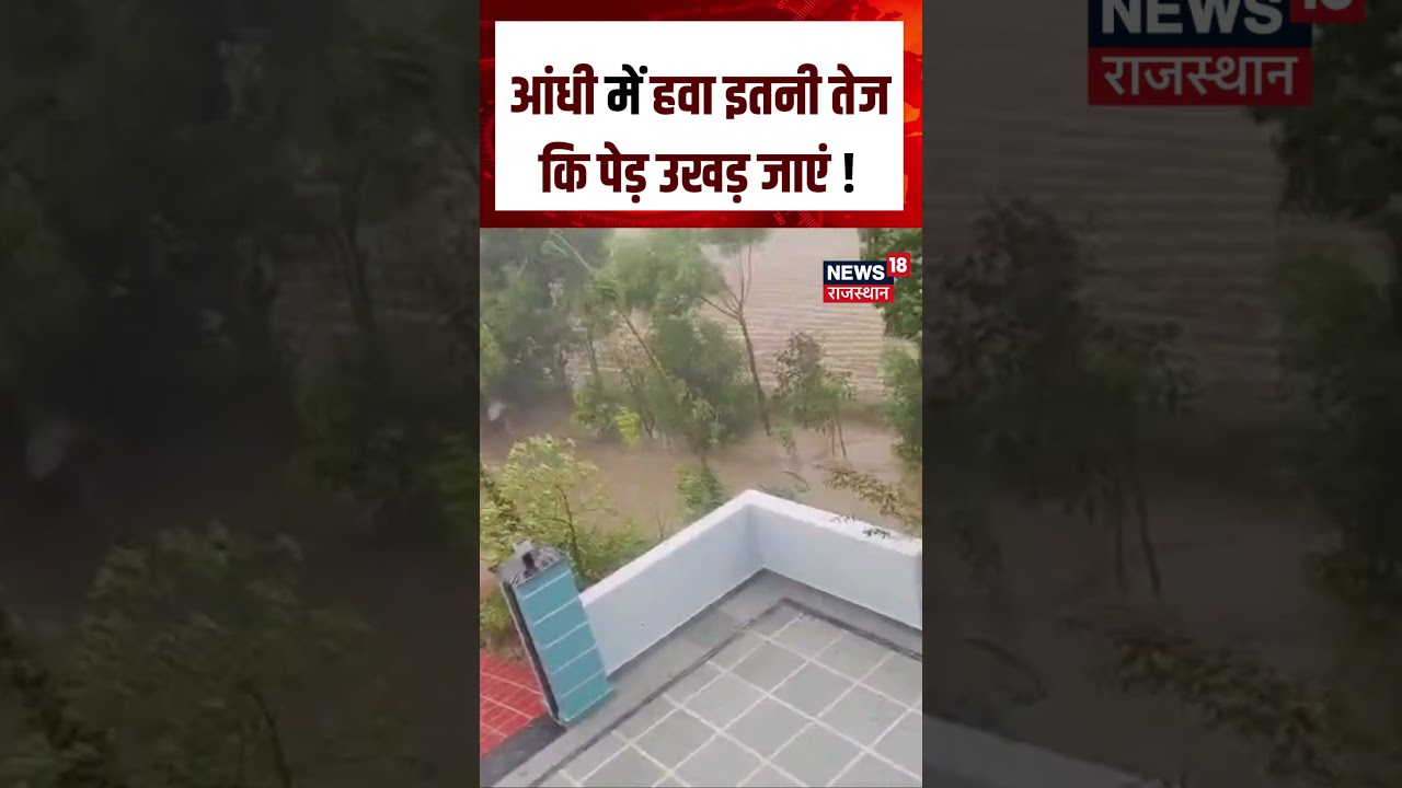 Weather News : आंधी में हवा इतनी तेज कि पेड़ उखड़ जाएं ! | N18S |Heavy Rain | IMD Alert