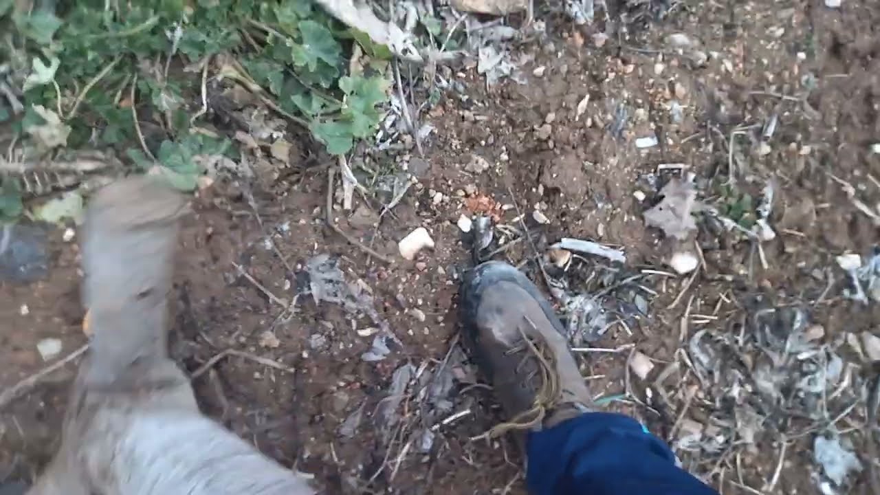 Tavuklara ilgilendik yem verdik yem kıtlıgı yem biti!!/
