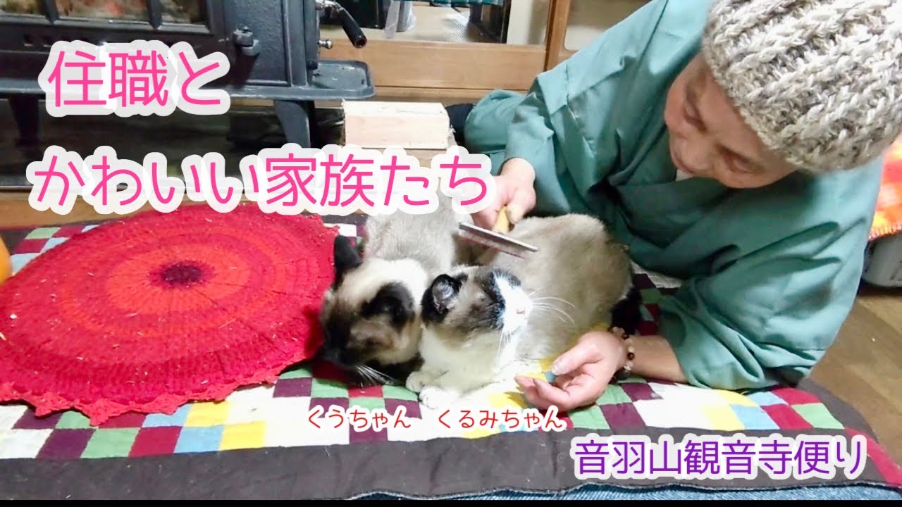 【音羽山観音寺便り】住職とかわいい家族たち