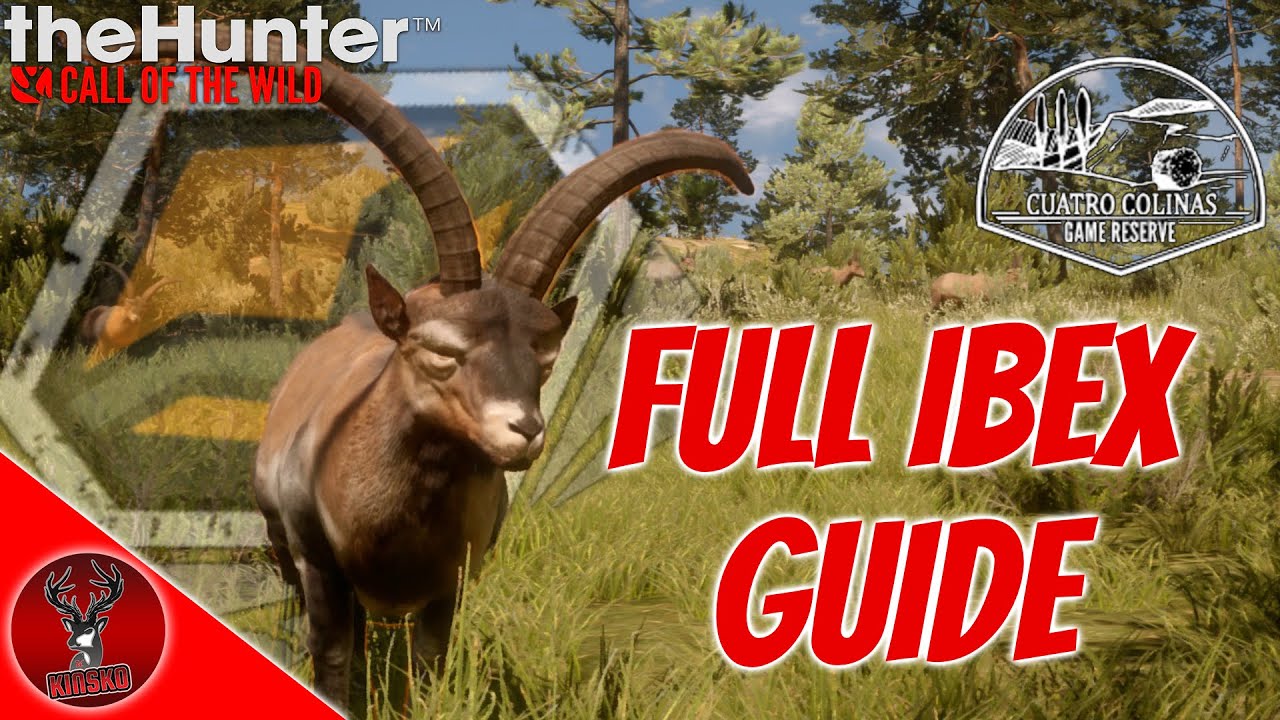 Full Ibex Hunting Guide On Cuatro Colinas + 2 diamonds At One Lake