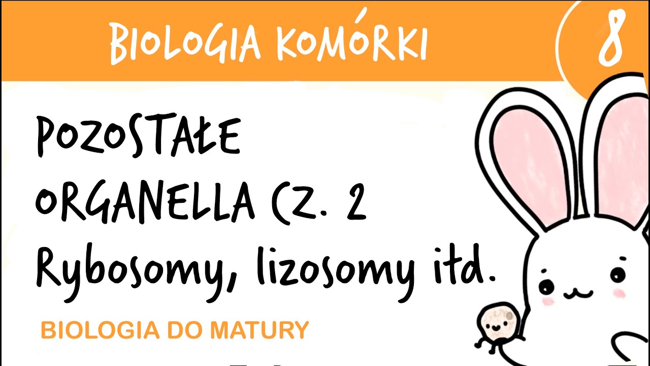 Cytologia 8 - Pozostałe organella cz.2 Rybosomy, peroksysomy, lizosomy, glioksysomy, wakuole