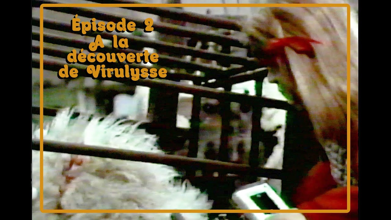 Les Aventures de Virulysse - Ép. 2 - À la découverte de Virulysse