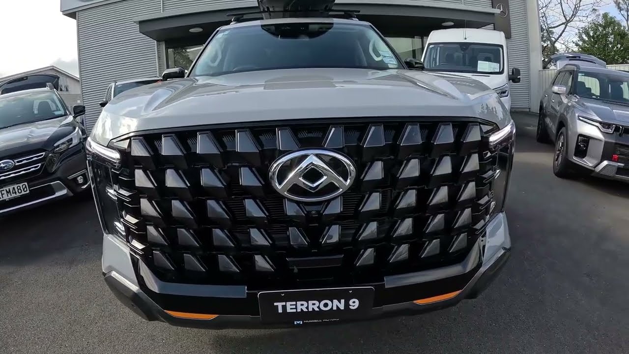What The Truck - LDV Terron 9 4WD