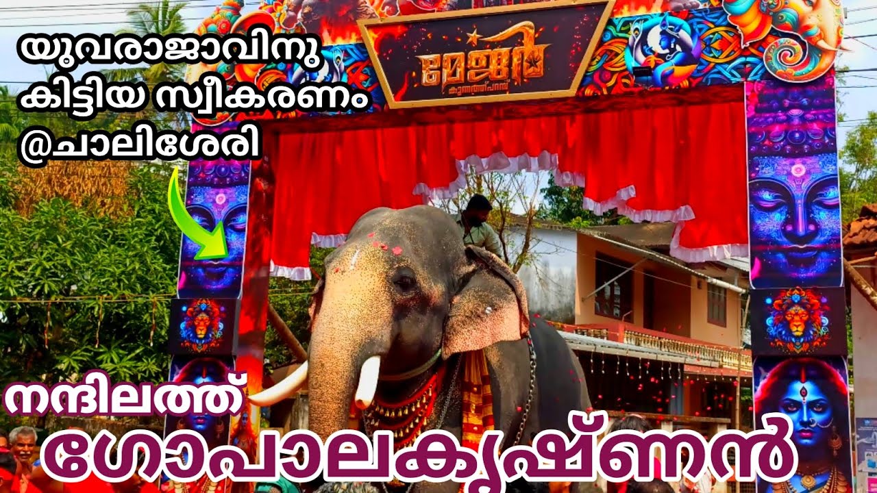 യുവരാജാവിന് ചാലിശേരിയിൽ കിട്ടിയ ഗംഭീര സ്വീകരണം./ Nadhilath Gopalakrishnan🤩🔥❤️