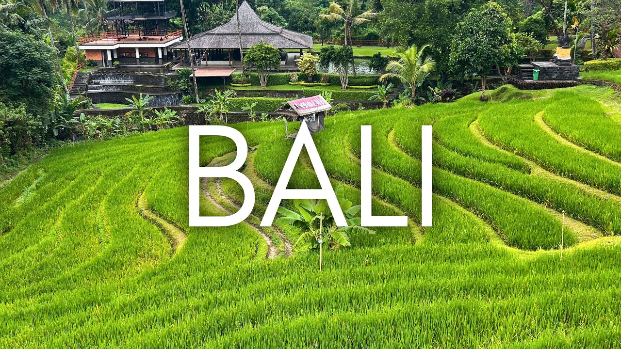 15 minutes unique nature in Bali Indonesia 🇮🇩 