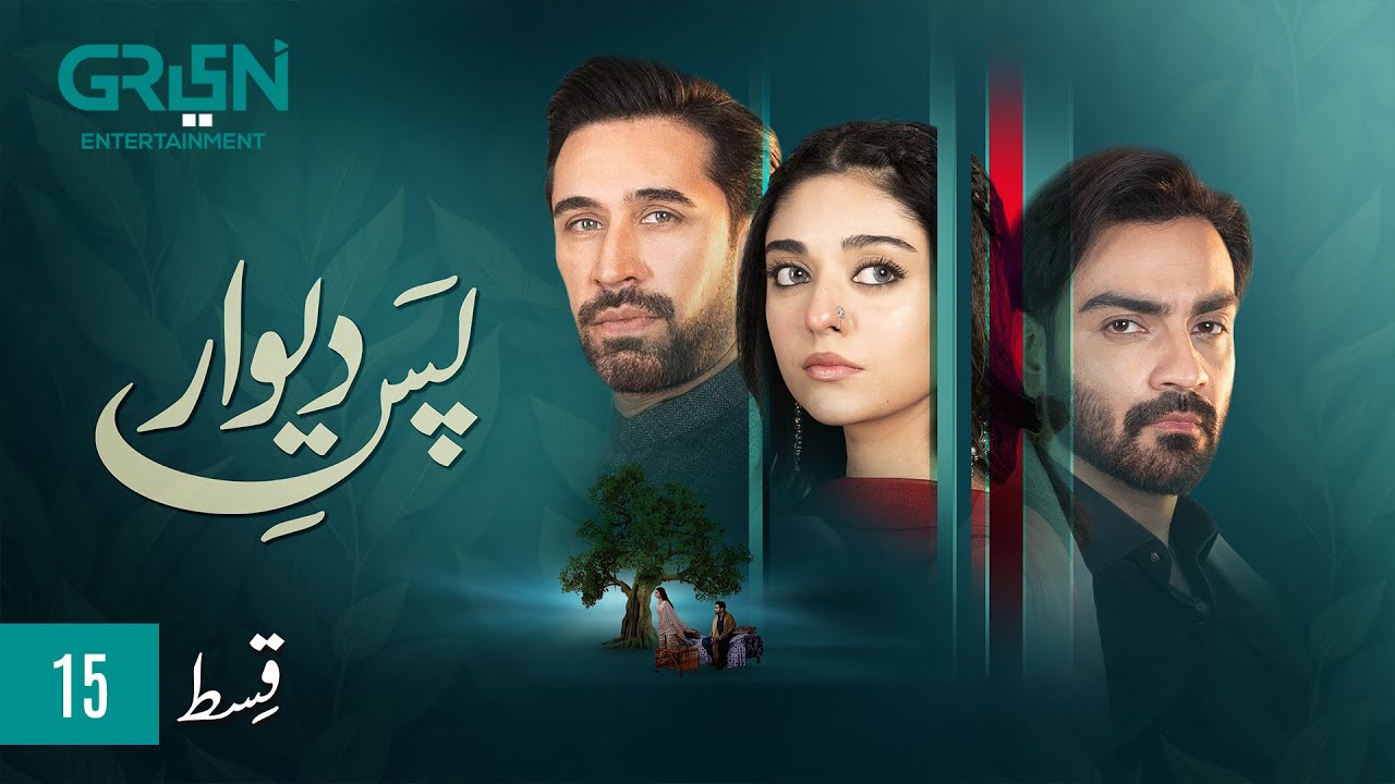 Pas e Deewar Episode 15 | Ali Rehman | Noor Zafar Khan | Arsalan Naseer [ ENG CC ] Green TV