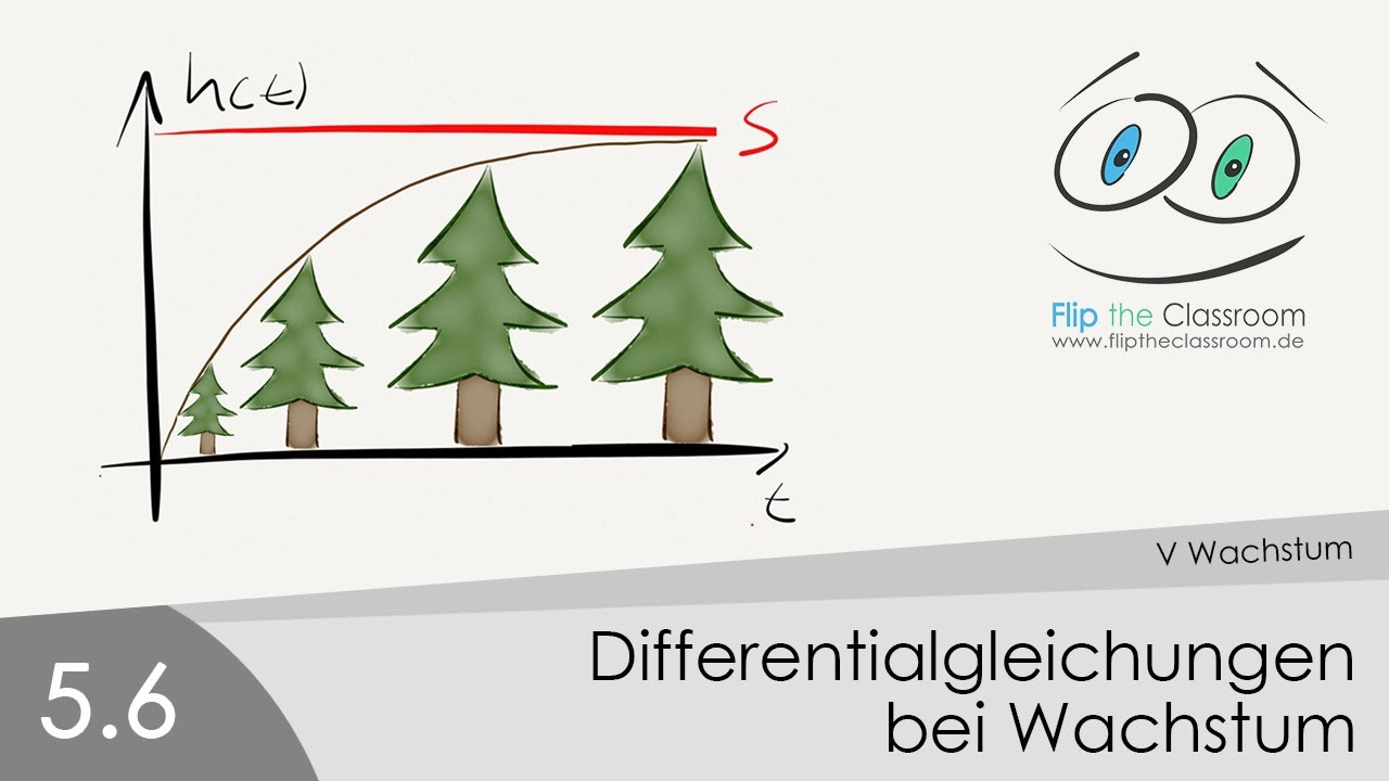 5.6 Differenzialgleichungen bei Wachstum