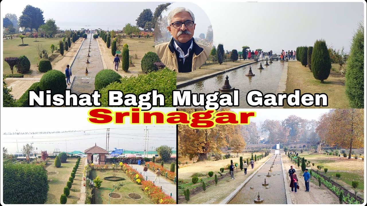 Nishat Bagh Mugal Garden Srinagar#garden 