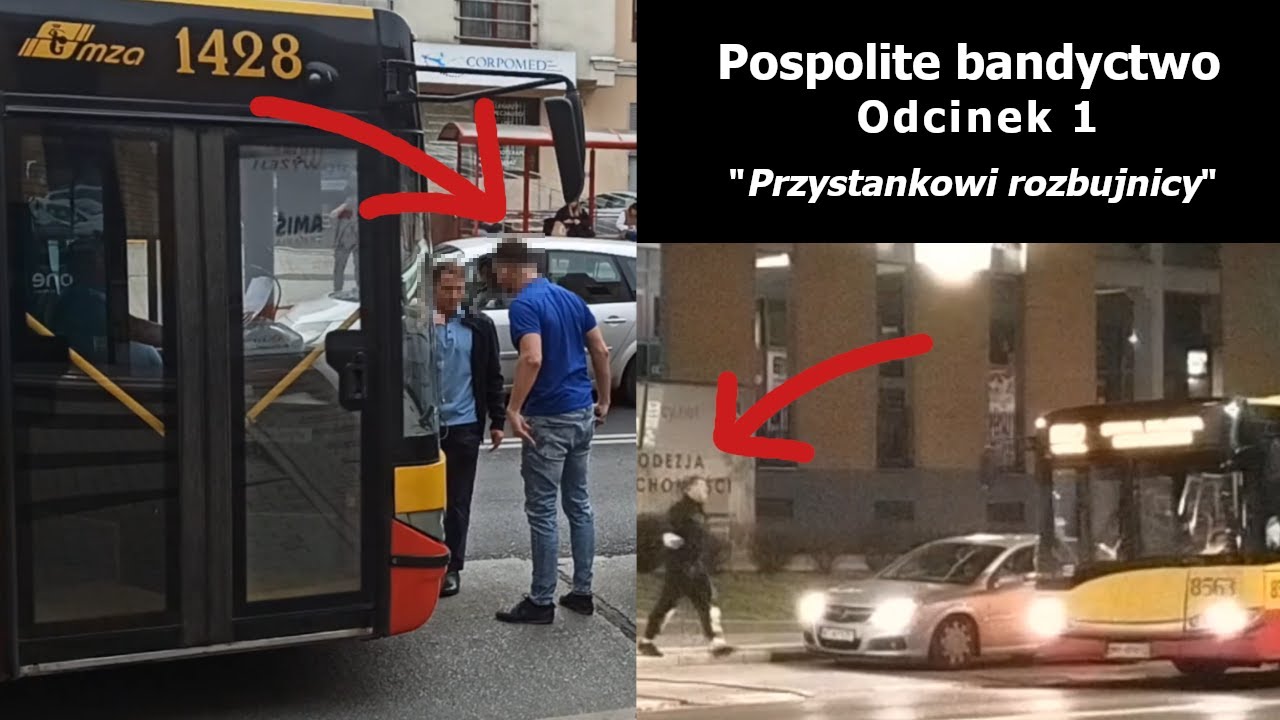 Pospolite bandyctwo ODC 1 
