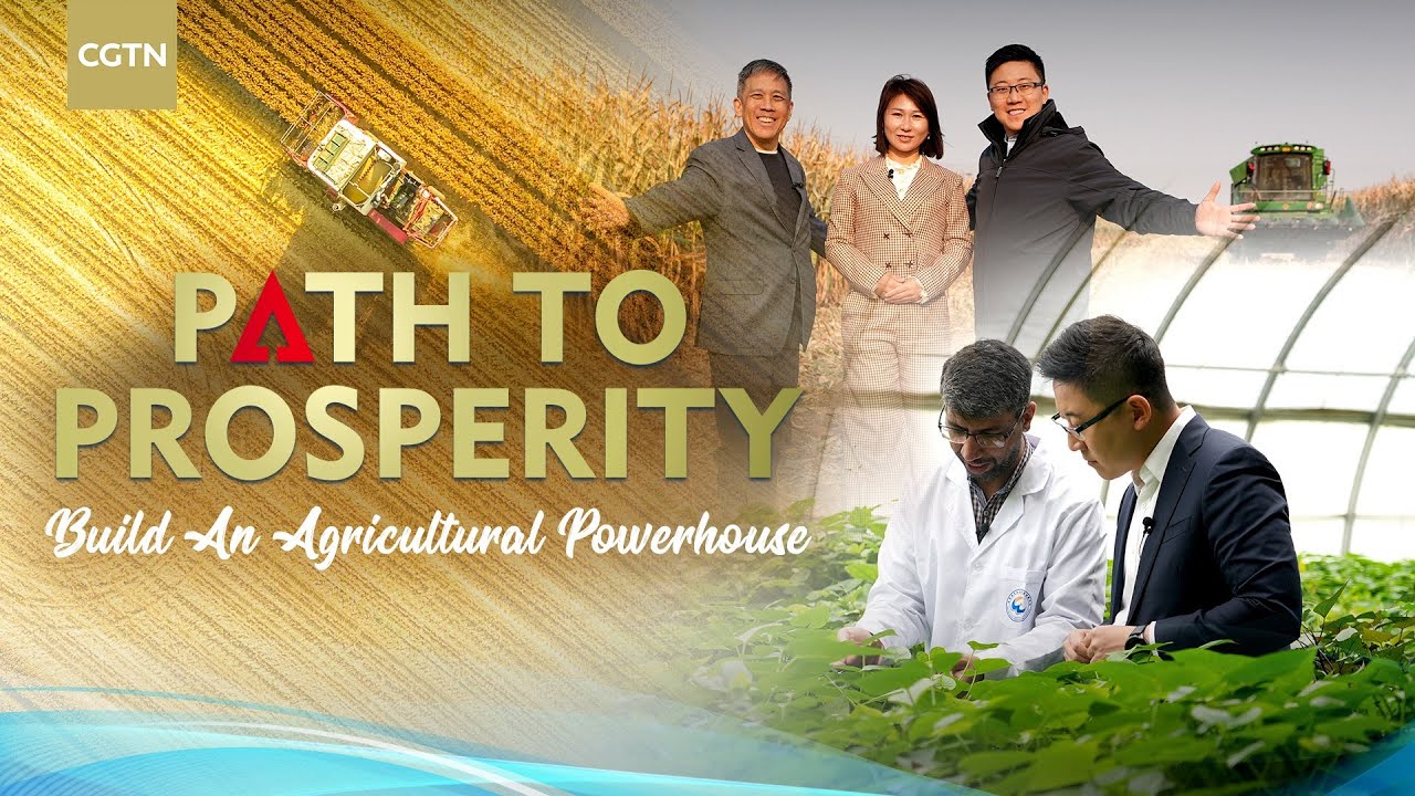 Path to prosperity: Build an agricultural powerhouse