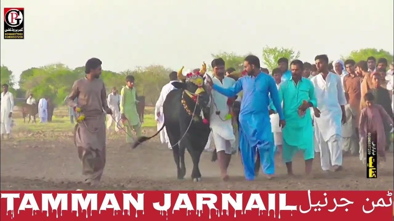 Jalsa Bail Karah Dohlarجلسہ بیل کراہ دھولر مکمل جلسہ🤣🤣🤣🤣🤣❤️❤️❤️❤️🥳🥳🥳🫠🫠🫠🫠🫠🌜🌛