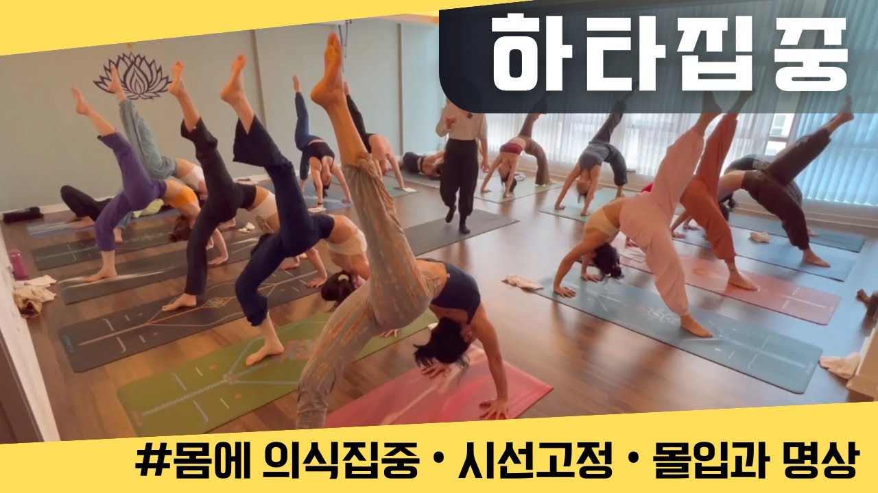 [엔젤요가] 하타집중수련 | 몰입과 명상으로 나아가는 길