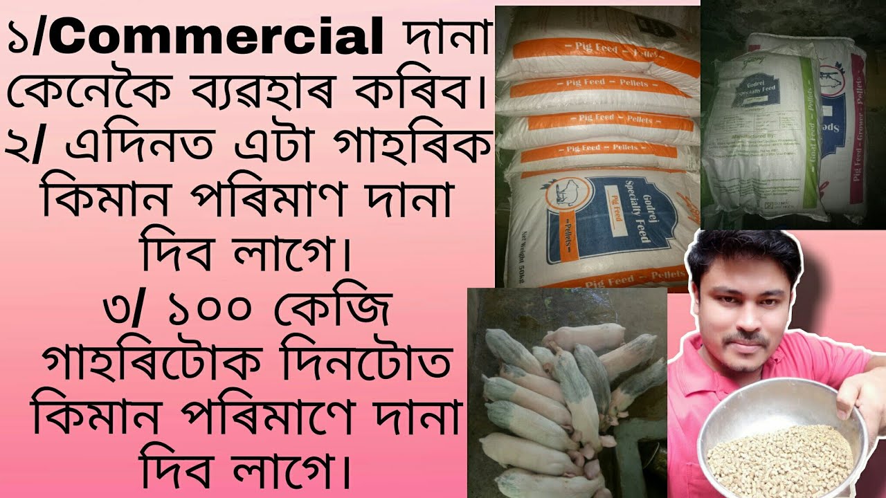 Commercial দানা কেনেকৈ দিব লাগে// এটা গাহৰিক দিনটোত কিমান দানা দিব লাগে//How to use Commercial feed.
