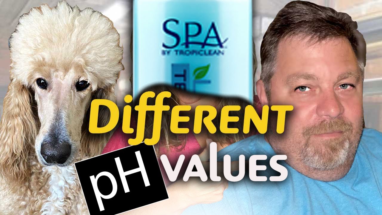 Are HUMAN SHAMPOOS SAFE for DOGS?