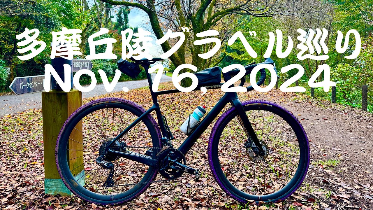 多摩丘陵グラベル巡り（Nov. 16, 2024）
