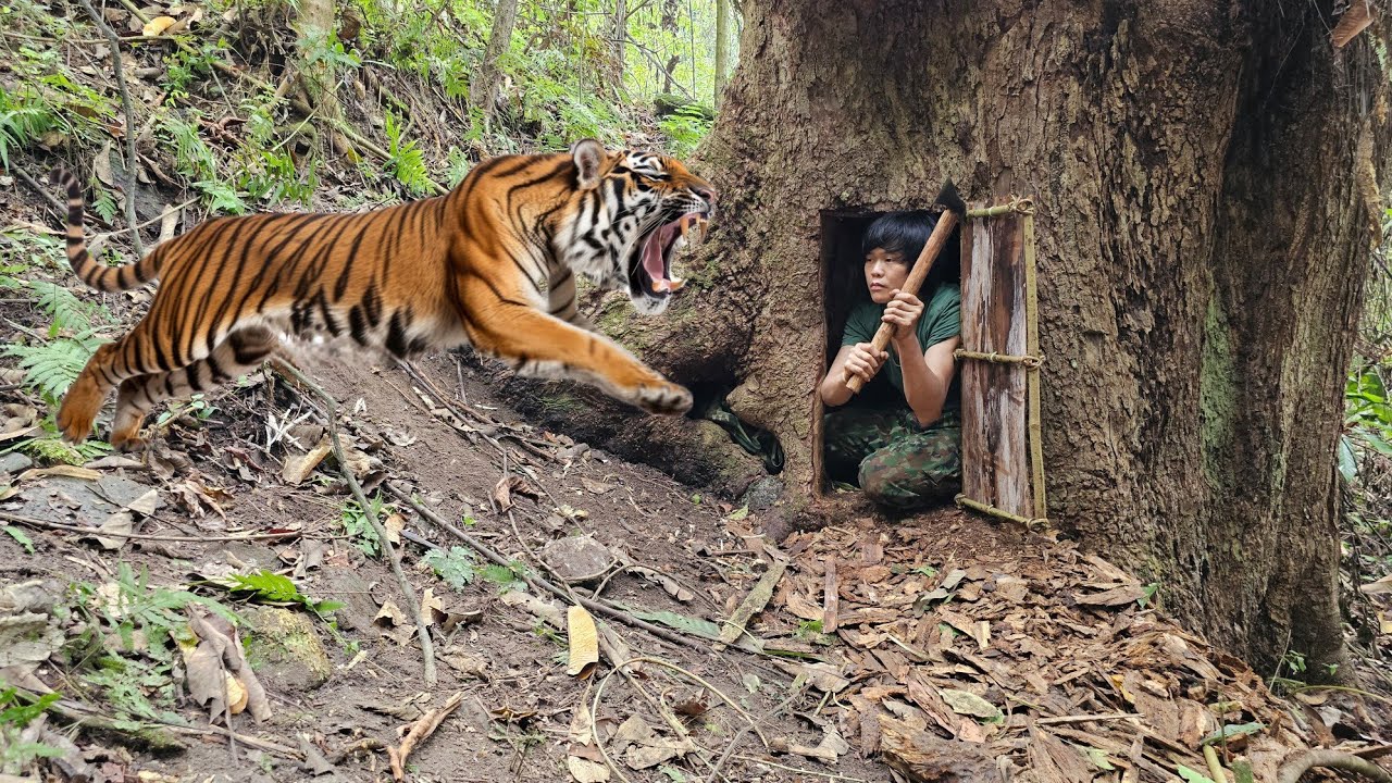 200 Days of Survival in the Wild, Trapping Skills, Wild Boar, Jungle Fowl, Night Hunting, Wildlife