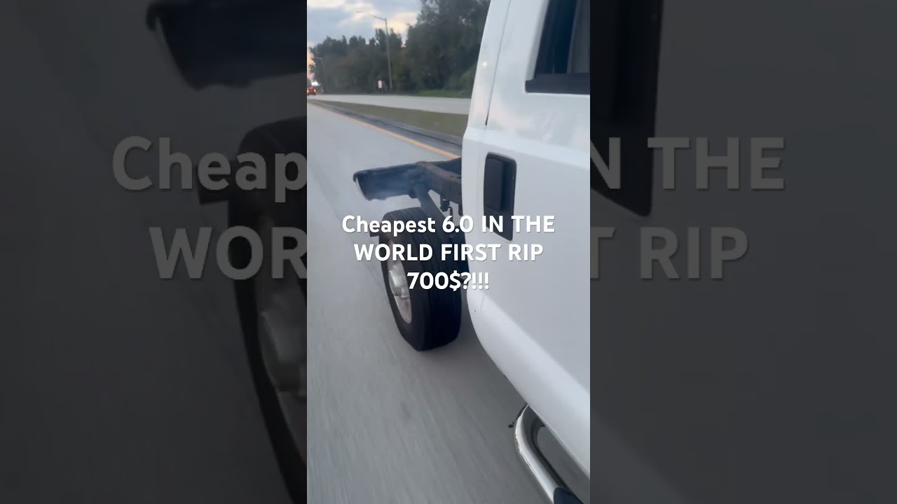 I BOUGHT THE CHEAPEST 6.0 POWERSTROKE IN THE WORLD 700$!!!