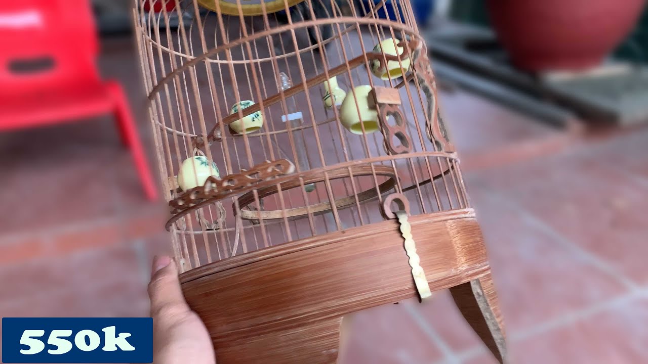 Làn Đầu Tiên Bỏ Ra 550k Ra Mua Lại Lồng Chim Khuyên// Chiến Ơi