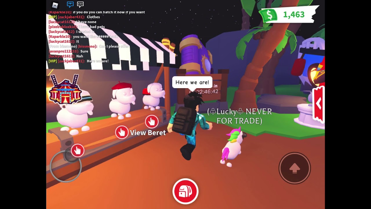 Dressing Up Pets In Adopt Me