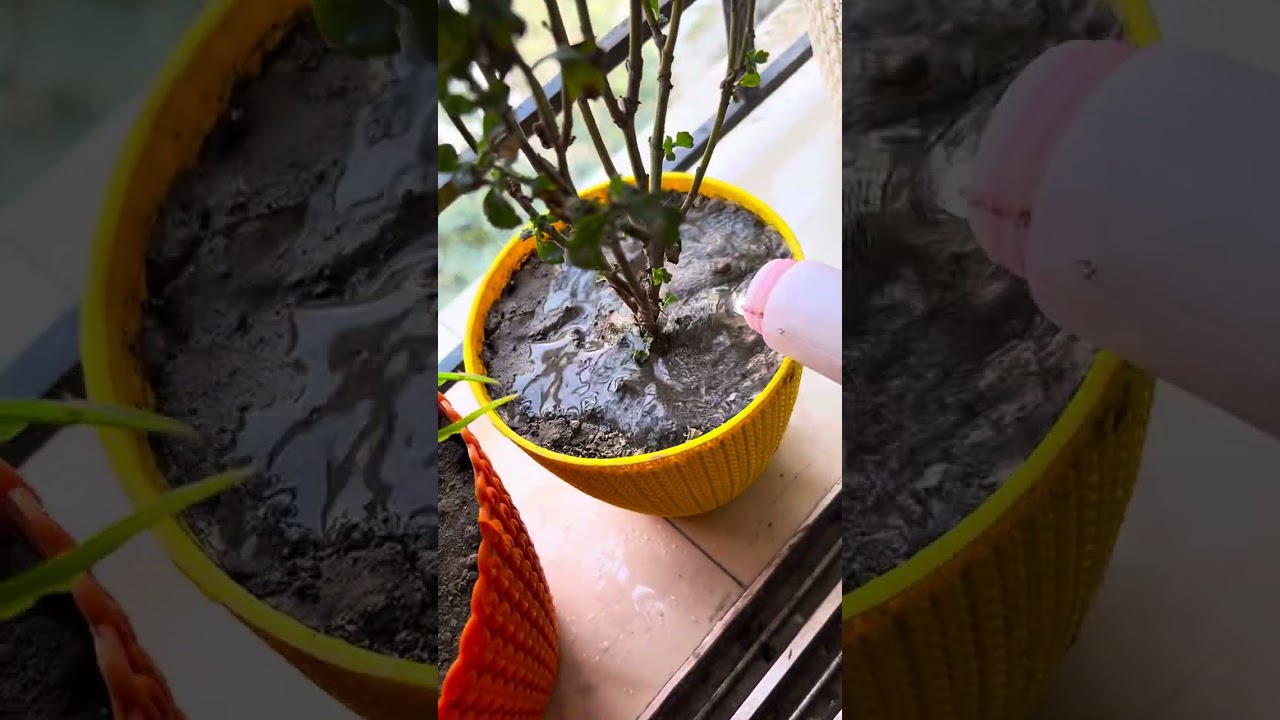 আজকে আমি যা যা করলাম!!