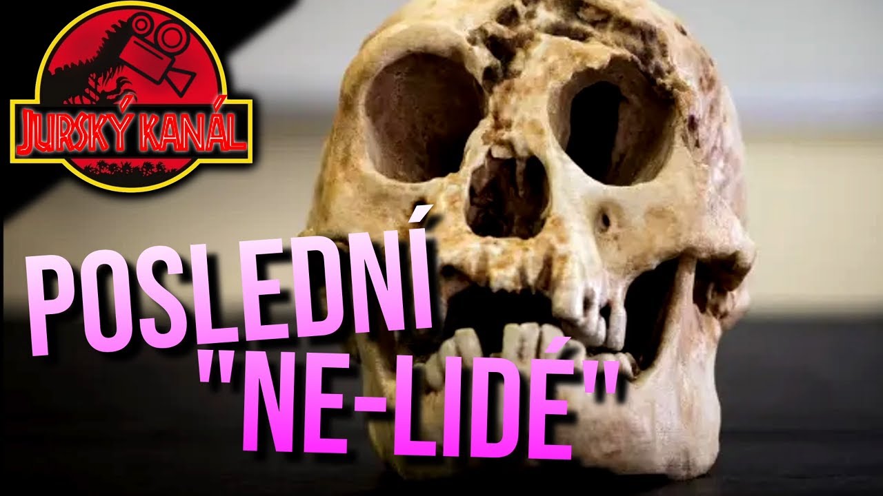 Poslední Lidé, kteří NEBYLI Homo Sapiens... | Jurský Kanál