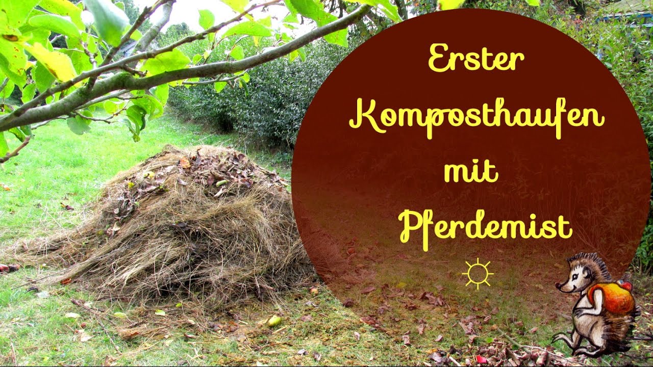 Unser erster Komposthaufen ☼ mit Pferdemist │ Kompostierung leicht gemacht :)