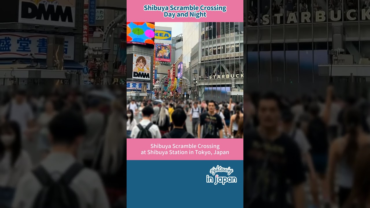 【Shibuya Scramble Crossing】Shibuya Station/Tokyo (JR Yamanote Line) ｜Japan Travel Guide