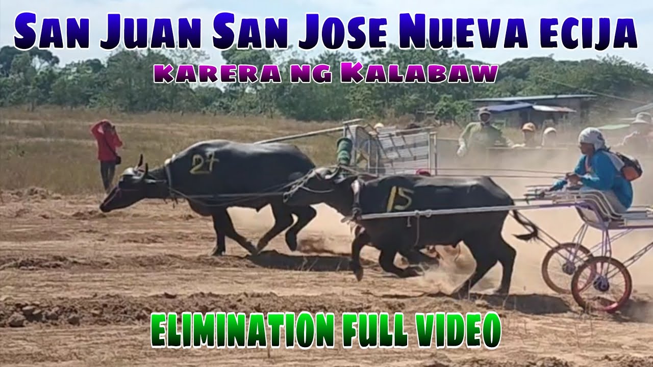 Elimination full video San Juan karera ng Kalabaw 2026