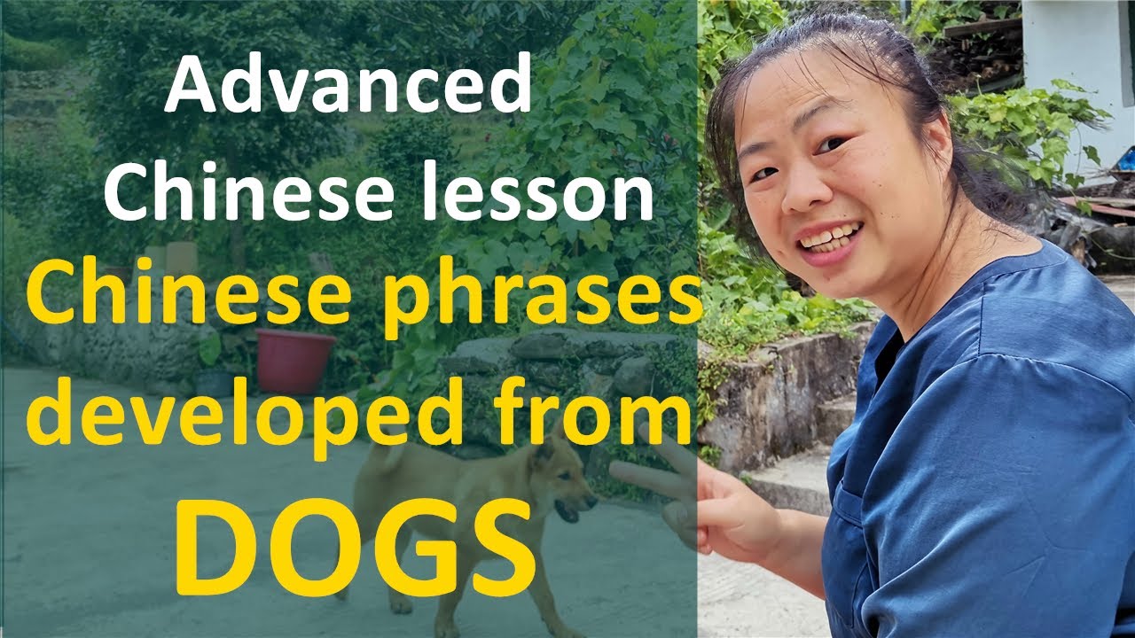 Advanced Chinese lesson : 4 types of Chinese phrases developed from DOGS