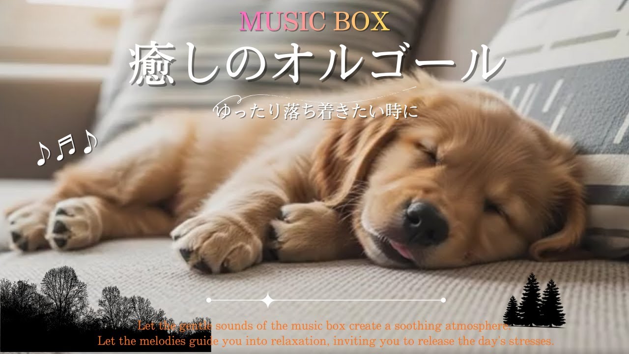｜癒しの睡眠BGM｜Drifting off to sleep, enveloped in the soft chime of a music box.