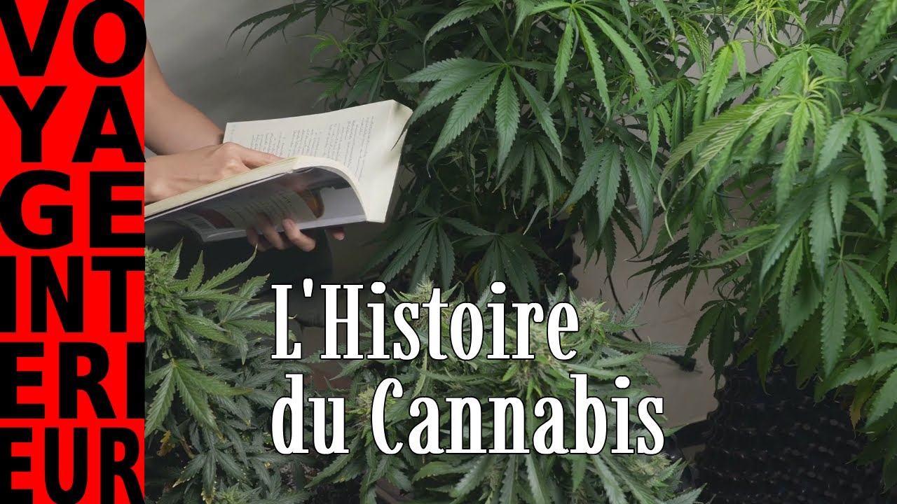 L&rsquo;Histoire du Cannabis