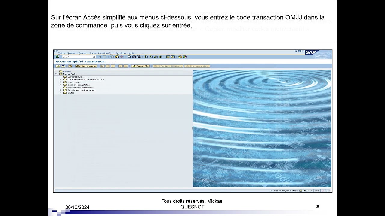 GU SAP ECC OMJJ   Copier, modifier codes mouvement