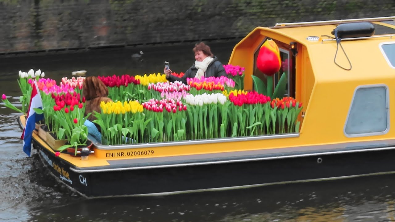 Tulpenboot Churchill / Amsterdam Circle Line op de Prinsengracht