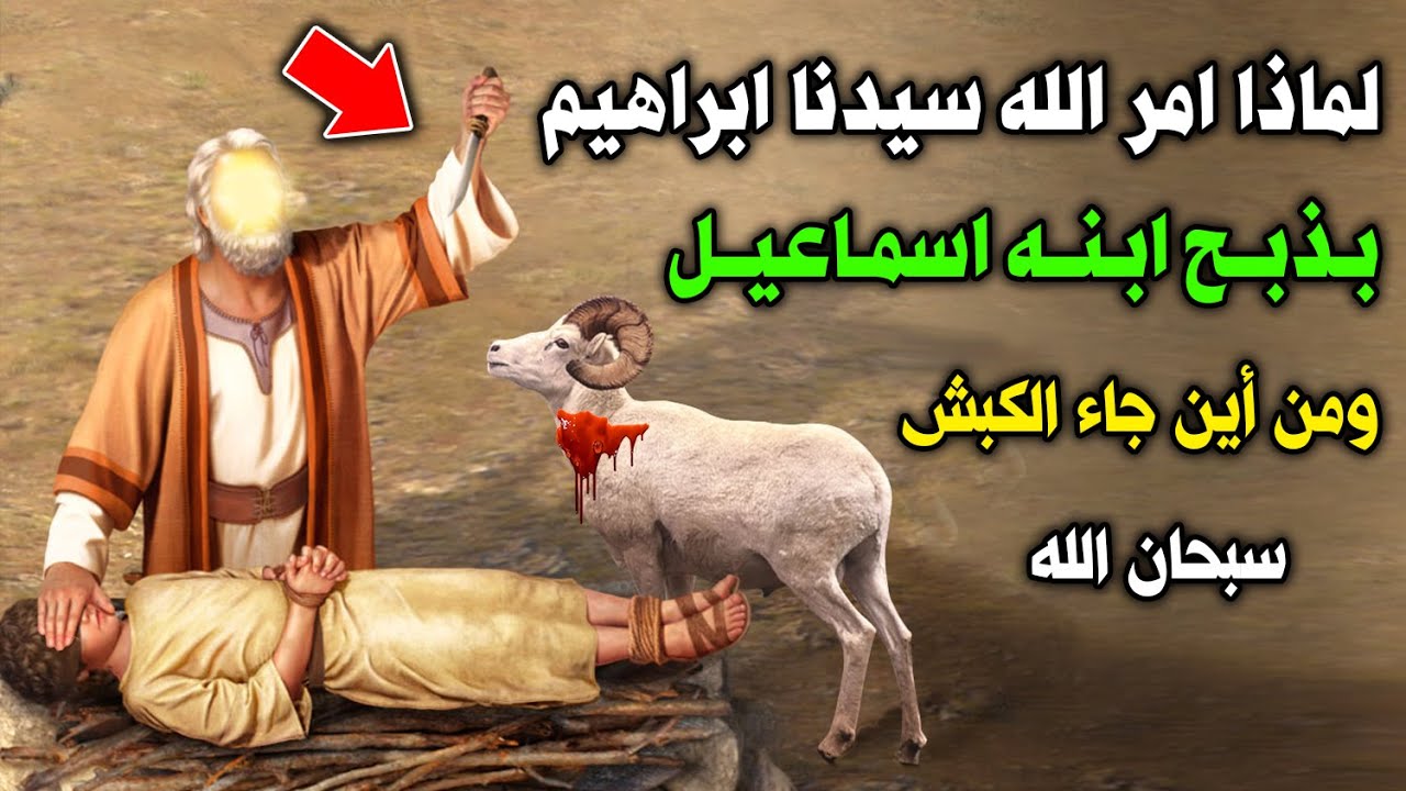 لماذا امر الله سيدنا ابراهيم أن يذبح ابنه اسماعيل ؟ ومن أين جاء الكبش ؟ وأين ذهب بعد ذلك؟ سبحان الله