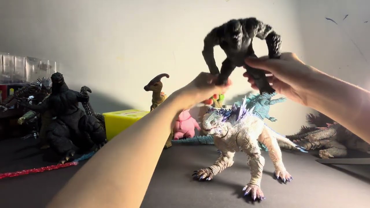 Unboxing the Hiya Shimo!