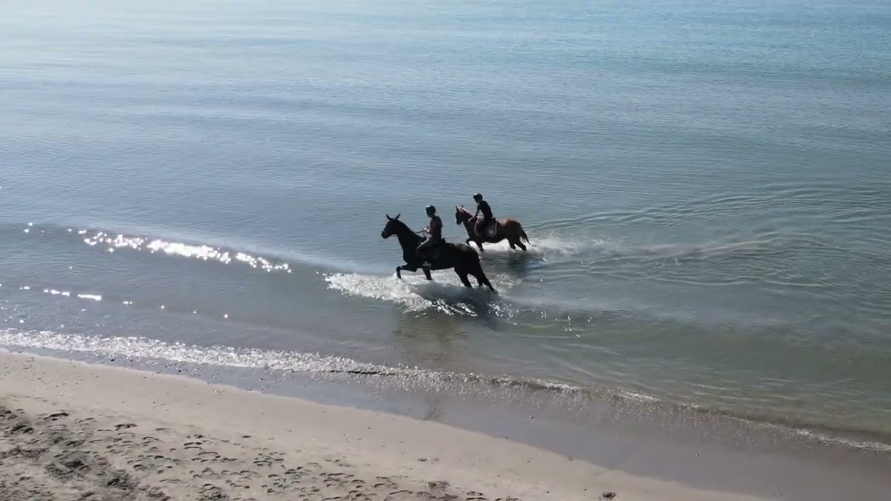 Sainte Marie de la Mer - Septembre 2023